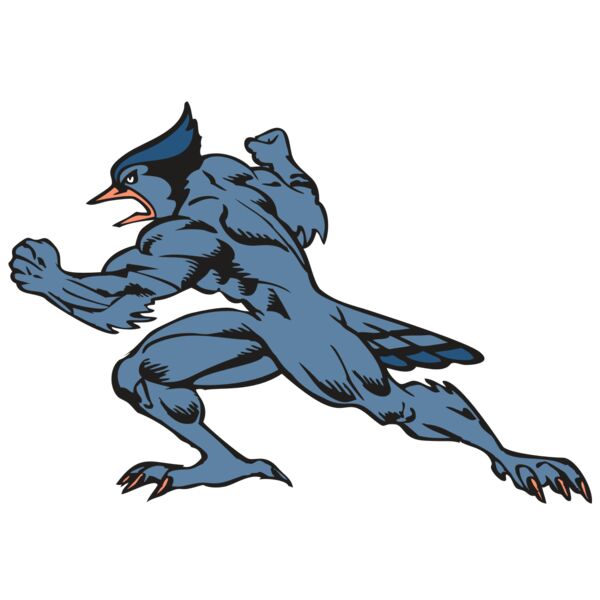 BAW BLUEJAY 15 RC Thumbnail